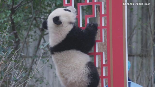 無綫新聞 TVB News 無綫新聞 TVB News