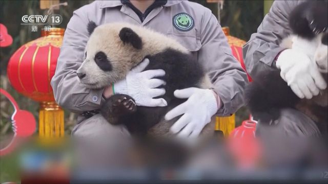 無綫新聞 TVB News 無綫新聞 TVB News