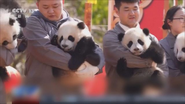 無綫新聞 TVB News 無綫新聞 TVB News