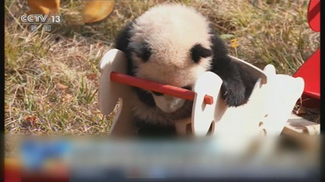 無綫新聞 TVB News 無綫新聞 TVB News