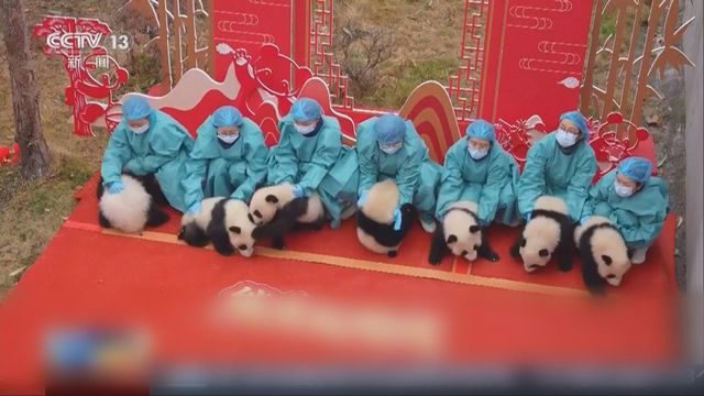 無綫新聞 TVB News 無綫新聞 TVB News