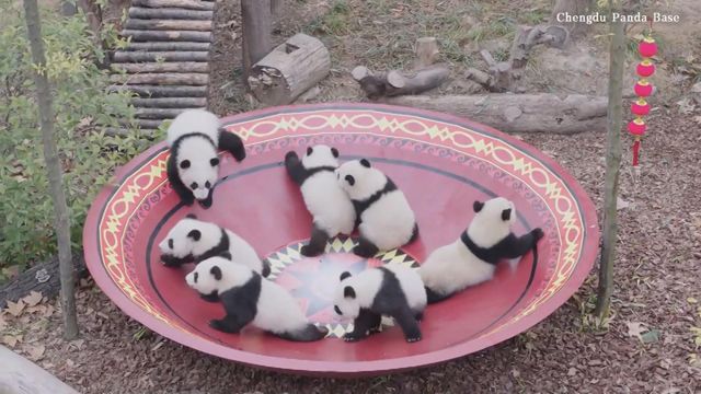 無綫新聞 TVB News 無綫新聞 TVB News