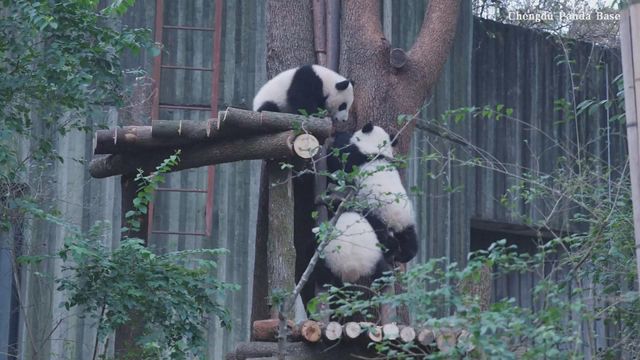 無綫新聞 TVB News 無綫新聞 TVB News