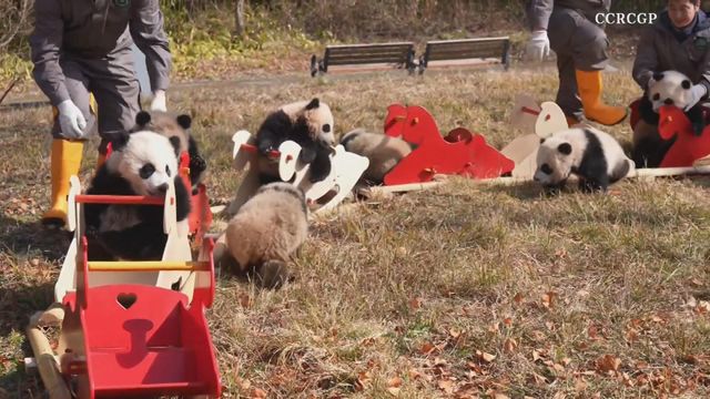 無綫新聞 TVB News 無綫新聞 TVB News