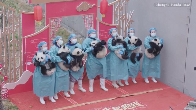 無綫新聞 TVB News 無綫新聞 TVB News