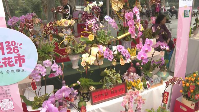 無綫新聞 TVB News