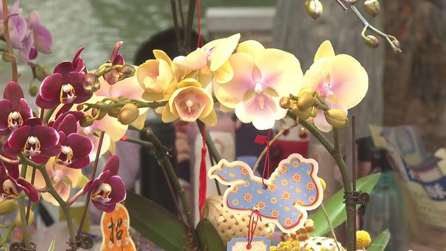 無綫新聞 TVB News