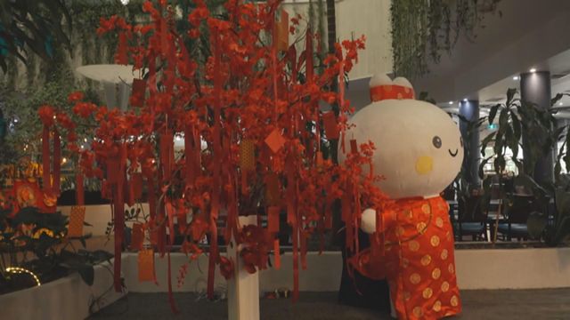 無綫新聞 TVB News