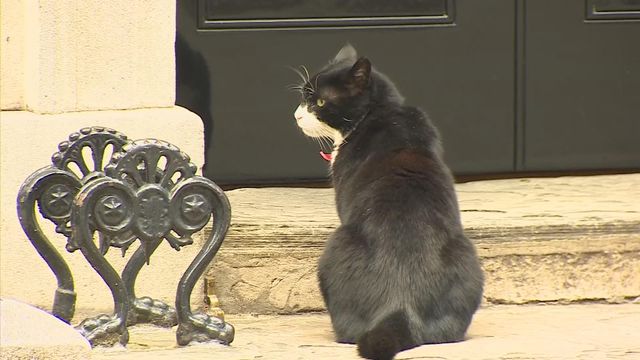 無綫新聞 TVB News