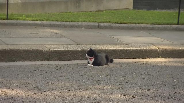 無綫新聞 TVB News