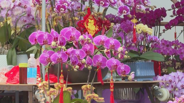 Flowers bloom at markets on a warm lunar new year's eve 