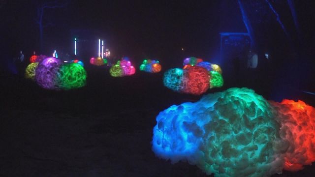 無綫新聞 TVB News