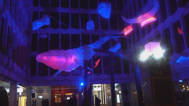 無綫新聞 TVB News