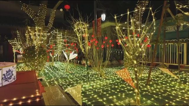 無綫新聞 TVB News