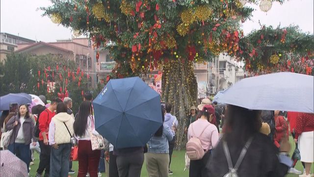 Crowds at Wishing Tree to throw for good luck