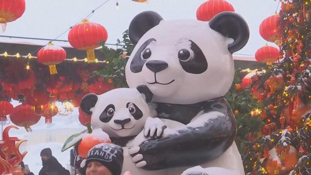 無綫新聞 TVB News