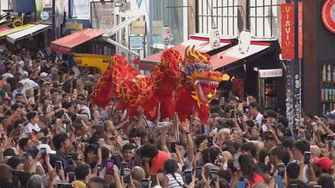 Revellers across the world gallop into Year of the Horse