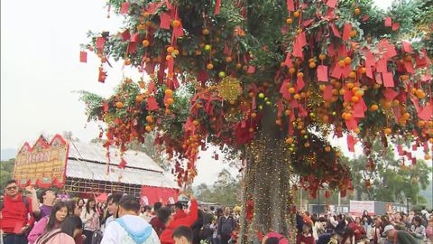 Faithful take part in Lunar New Year's ritual in Lam Tsuen