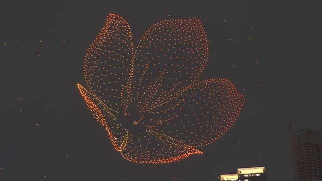 無綫新聞 TVB News