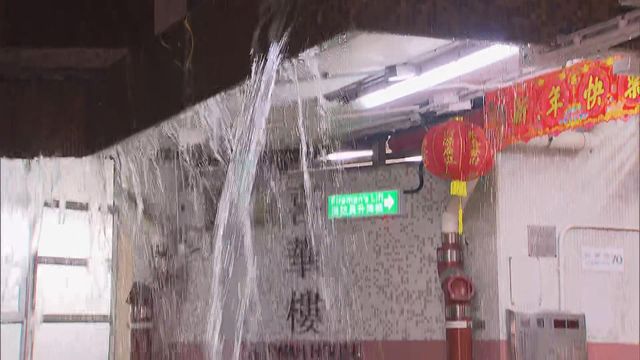 無綫新聞 TVB News