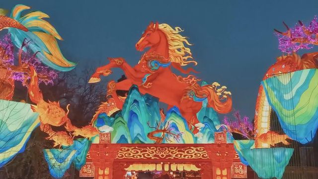 無綫新聞 TVB News