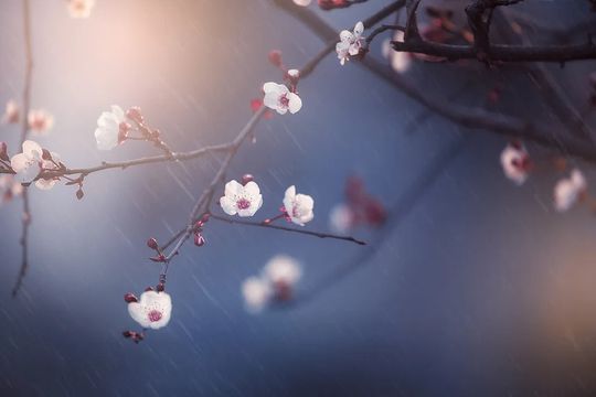 無綫新聞 TVB News