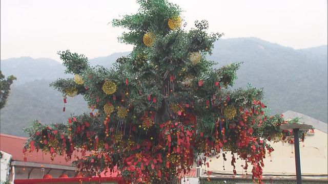 交通消息｜警方：林村一帶交通繁忙　太平山頂擠塞避免駕車前往