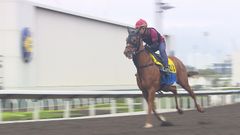 Hong Kong horse racing industry steeped in history