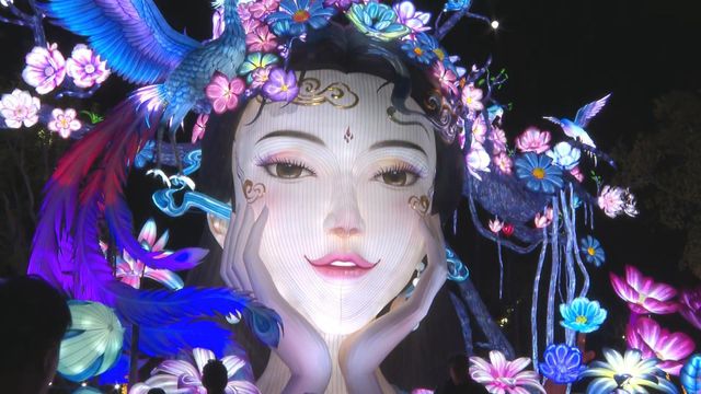 無綫新聞 TVB News