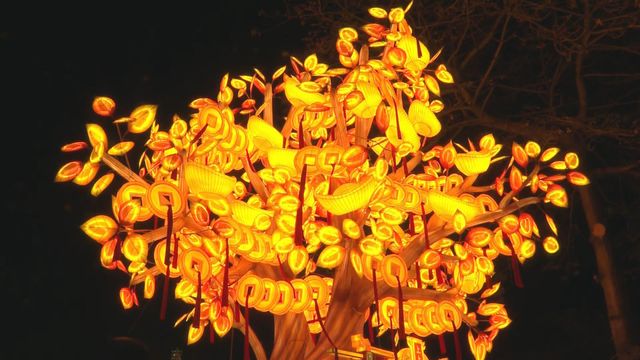 無綫新聞 TVB News