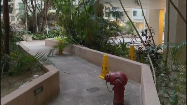 Man dies after suspected fall while trying to rescue cat in To Kwa Wan Man dies after suspected fall while trying to rescue cat in To Kwa Wan