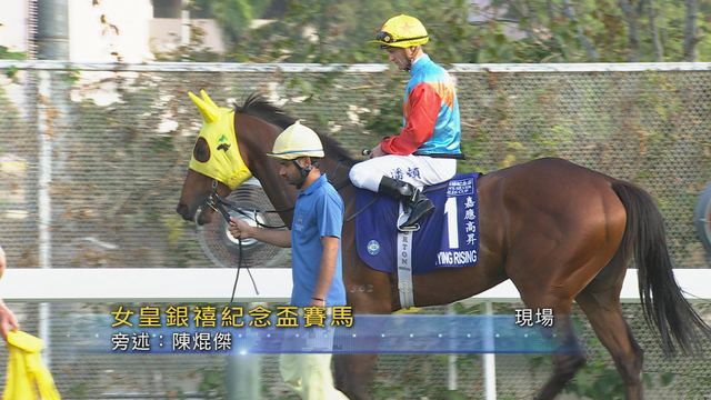 無綫新聞 TVB News