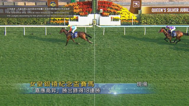 無綫新聞 TVB News