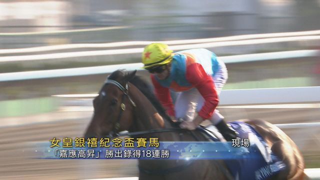 無綫新聞 TVB News