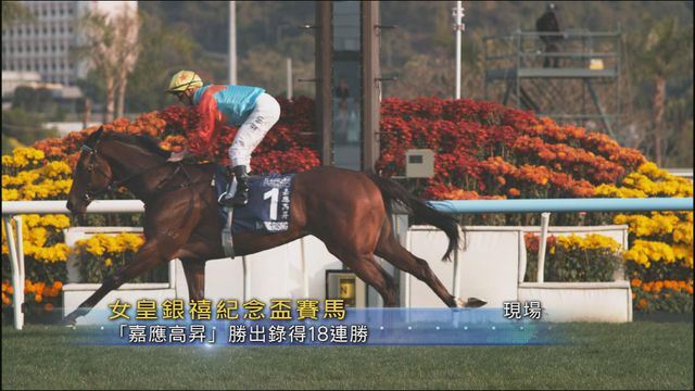 無綫新聞 TVB News