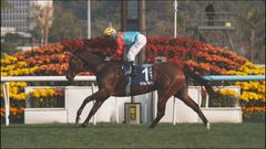 Ka Ying Rising secures 18th consecutive