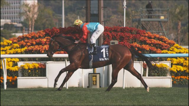 新聞透視‧延伸閱讀｜兩大馬王「嘉應高昇」、「浪漫勇士」躋身全球前十