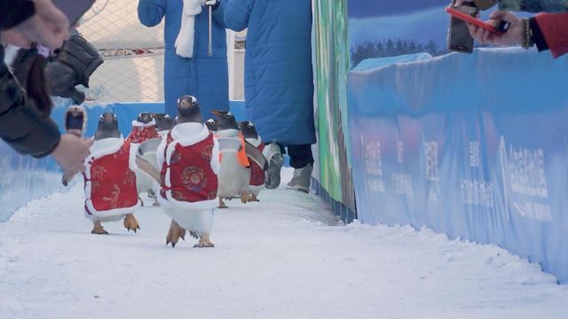 無綫新聞 TVB News