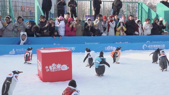 無綫新聞 TVB News