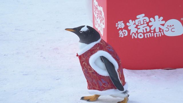 無綫新聞 TVB News