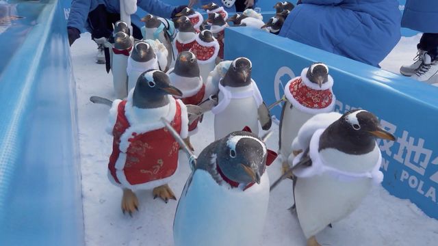 無綫新聞 TVB News 無綫新聞 TVB News