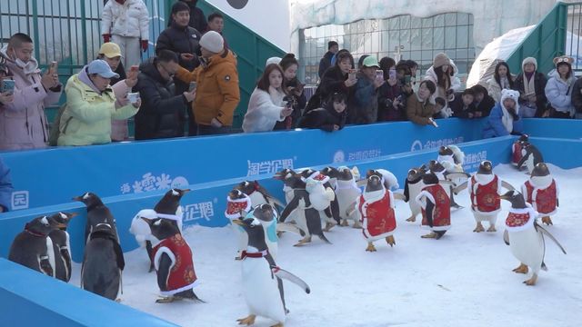 無綫新聞 TVB News 無綫新聞 TVB News