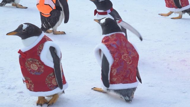 無綫新聞 TVB News 無綫新聞 TVB News