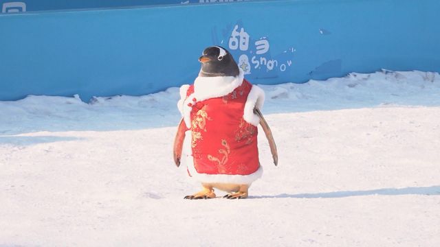 無綫新聞 TVB News 無綫新聞 TVB News