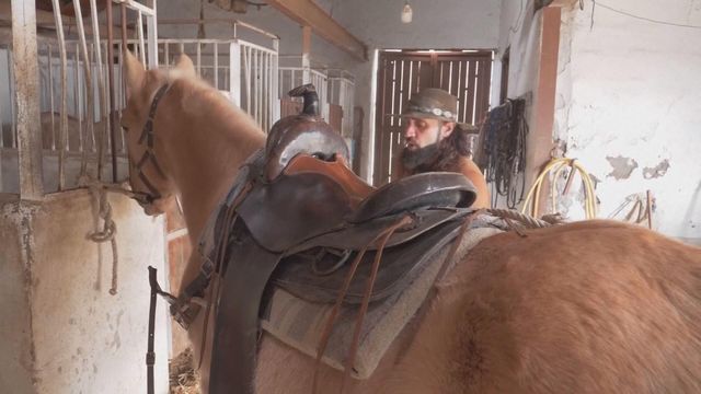 無綫新聞 TVB News