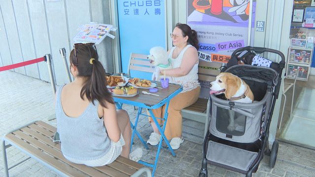 狗隻進入食肆新規 機遇 vs 難處|延伸閱讀‧寵物經濟潛力有幾大? 狗隻進入食肆新規 機遇 vs 難處|延伸閱讀‧寵物經濟潛力有幾大?