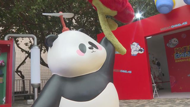 無綫新聞 TVB News