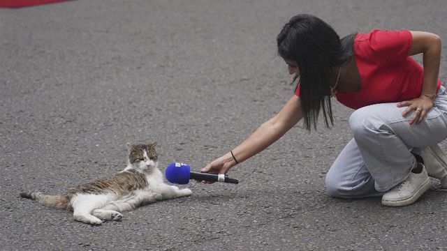 無綫新聞 TVB News