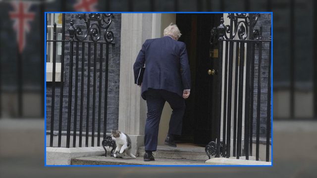 無綫新聞 TVB News