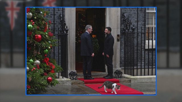 無綫新聞 TVB News